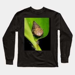 Unique and organic photo of a planthopper Long Sleeve T-Shirt